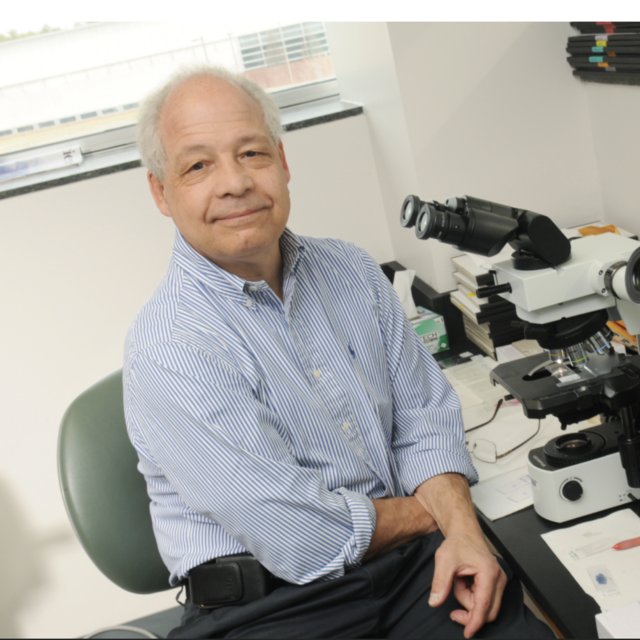 Dean’s Award winners recognized for impact in the college and beyond